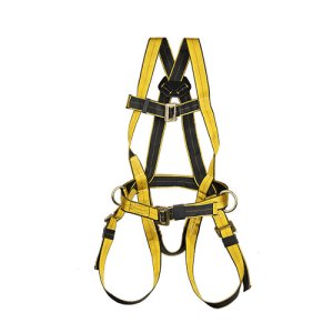 Safety Belts